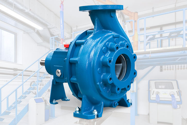 BL SLURRY PUMPS